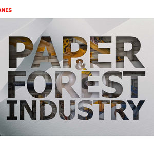 The Paper and Forest Industry Book image